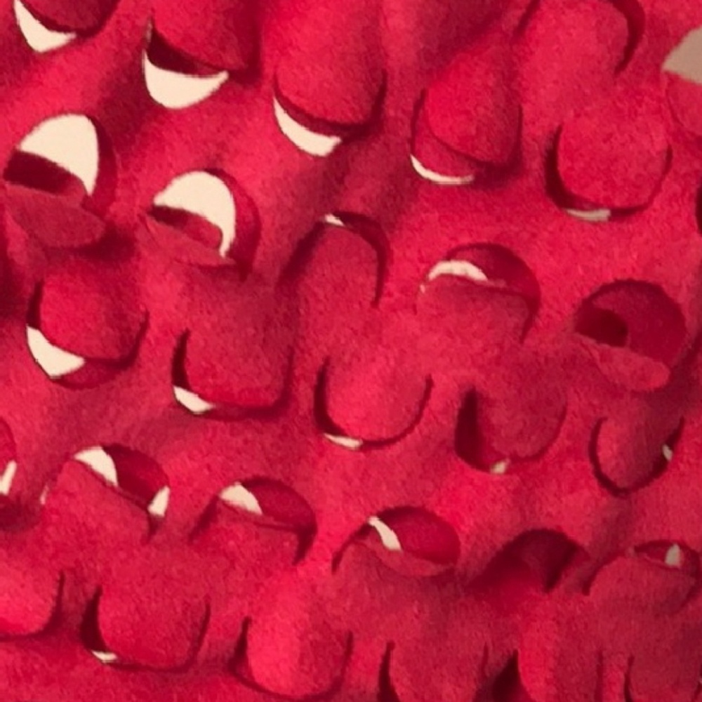 Fabulous suede-like raspberry top gently used.